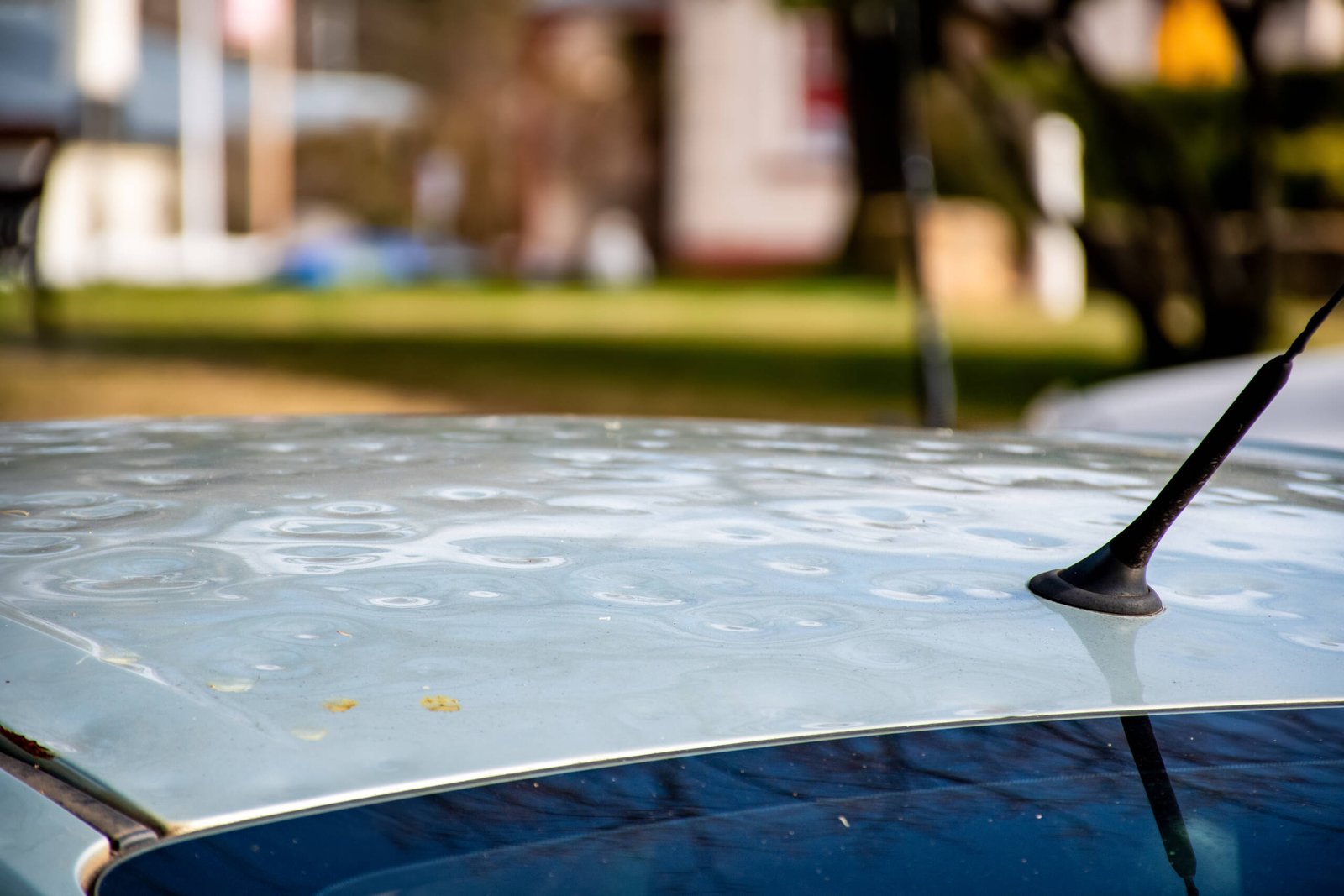 Hail Damage Repair in Dallas